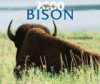2000 Bison Calendar